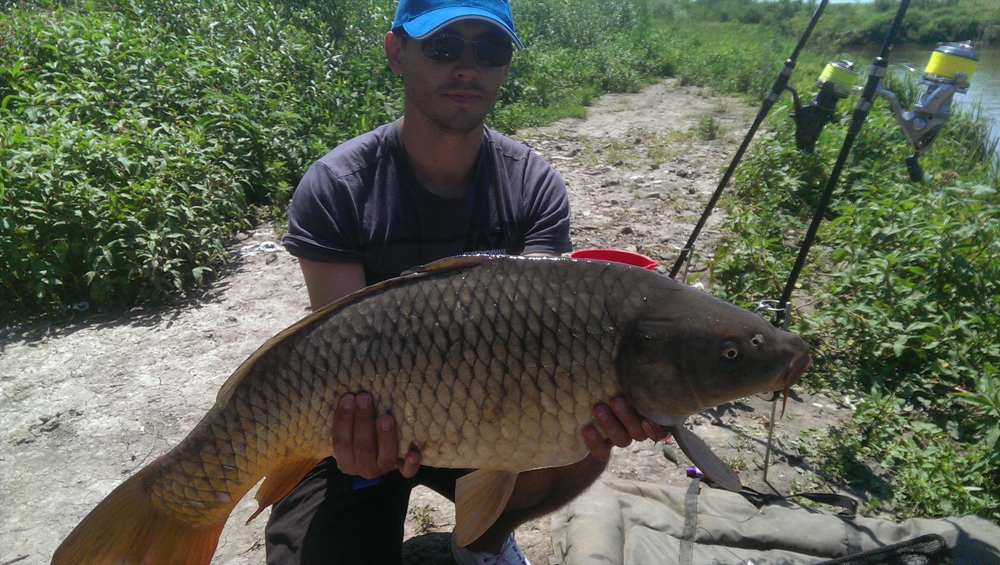 Hermes Peris 22 - 23 iunie 2014 - imag11351.jpg